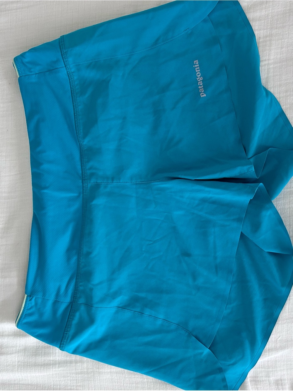Patagonia Women's Turquoise Athletic Shorts | M